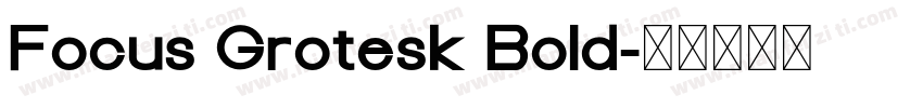 Focus Grotesk Bold字体转换